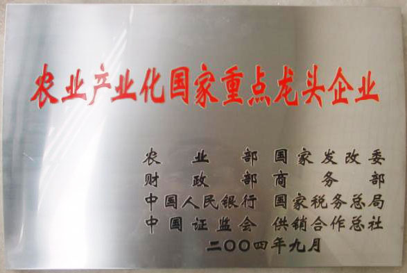 立足過(guò)去、放眼未來(lái)，白象食品二十三歲生日快樂(lè)